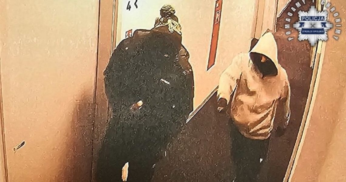 Złodziejski duet w rękach policji. Kradli auta i nie tylko Złodziejski duet w rękach policji. Kradli auta i nie tylko