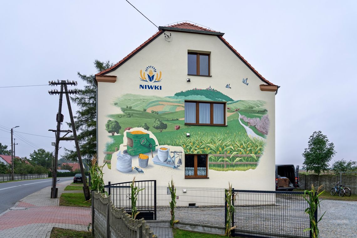 Złoto z Niwek na muralu. Mieszkańcy upamiętnili swoją rolniczą dumę