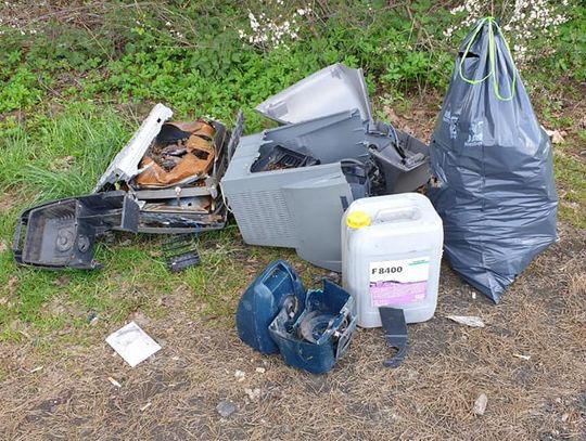 fot. Michał Leks fot. Michał Leks