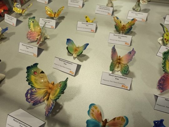 Wystawa "Porcelanowe motyle"