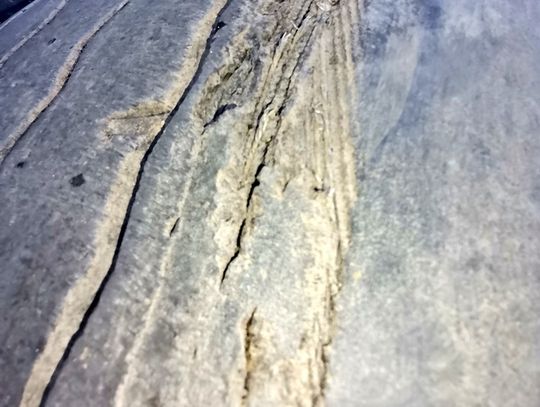 Auta bez dokumentów i w fatalnym stanie. Ich nie powinno być na drogach! Auta bez dokumentów i w fatalnym stanie. Ich nie powinno być na drogach!