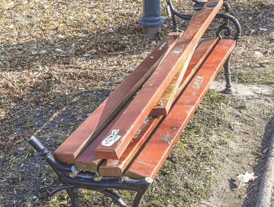 Wandale niszczyli park w Strzelcach Opolskich Wandale niszczyli park w Strzelcach Opolskich