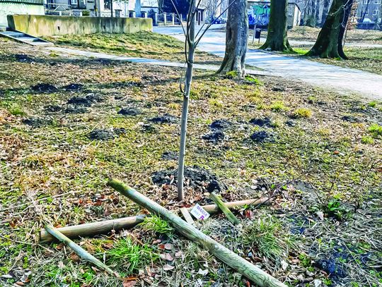 Wandale niszczyli park w Strzelcach Opolskich Wandale niszczyli park w Strzelcach Opolskich