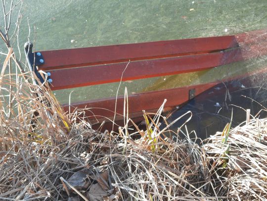 Wandale niszczyli park w Strzelcach Opolskich Wandale niszczyli park w Strzelcach Opolskich