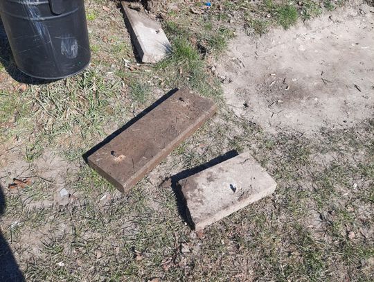 Wandale niszczyli park w Strzelcach Opolskich Wandale niszczyli park w Strzelcach Opolskich