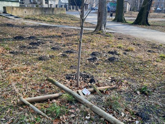 Wandale niszczyli park w Strzelcach Opolskich Wandale niszczyli park w Strzelcach Opolskich