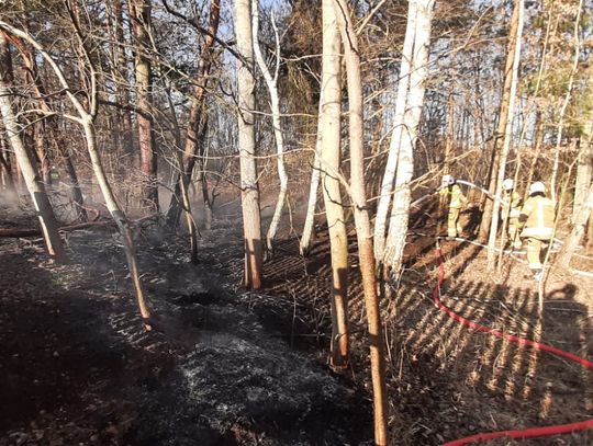 Pożary traw w Kadłubie i Osieku