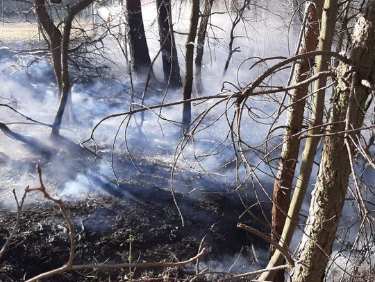 Pożary traw w Kadłubie i Osieku