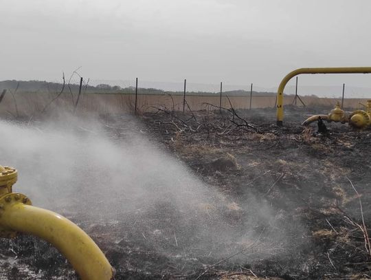 Pożar trawy przy gazociągu wysokiego ciśnienia w Czarnocinie