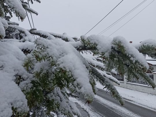 Pogoda zrobiła nam Prima Aprilis? Śnieżny poranek w piątek 1 kwietnia