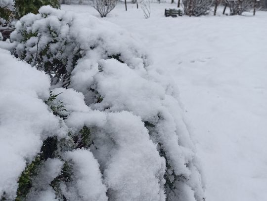 Pogoda zrobiła nam Prima Aprilis? Śnieżny poranek w piątek 1 kwietnia