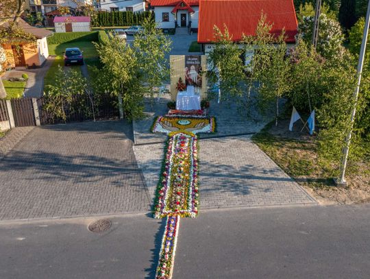 Kwietne dywany z gmin Ujazd i Leśnica trafią pod lupę naukowców