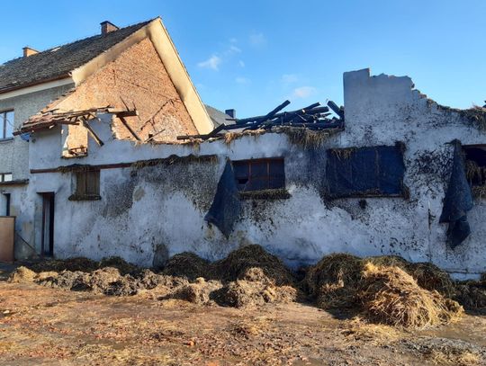 Pożar w Warmątowicach. Rodzina straciła główne źródło dochodu