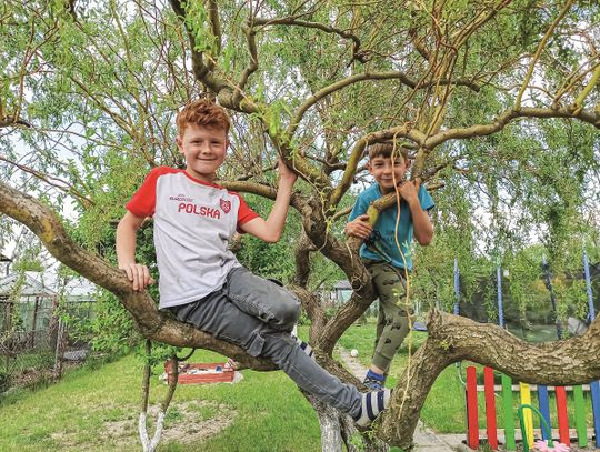 Tomek i Franek skaczą po drzewach albo na trampolinie