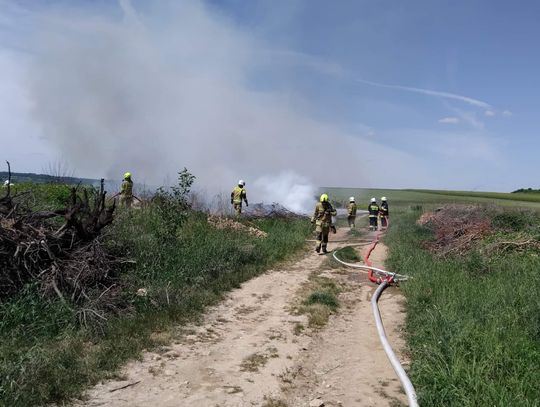 Pożar w miejscowości Dolna. Płonęły śmieci i opony rozrzucone na polu
