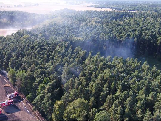 Pożar lasu na terenie Nadleśnictwa Zawadzkie