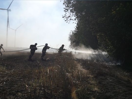 Pożar lasu na terenie Nadleśnictwa Zawadzkie