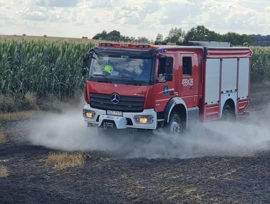 Pożary ściernisk w gminie Ujazd