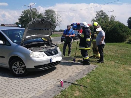 Strażacy z OSP Olszowa usuwają zaskrońca z samochodu