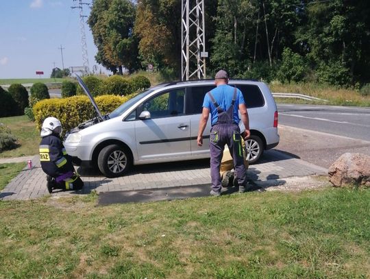 Strażacy z OSP Olszowa usuwają zaskrońca z samochodu