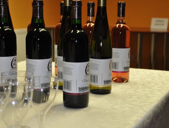 Damian Ukeje w Strzelcach Opolskich