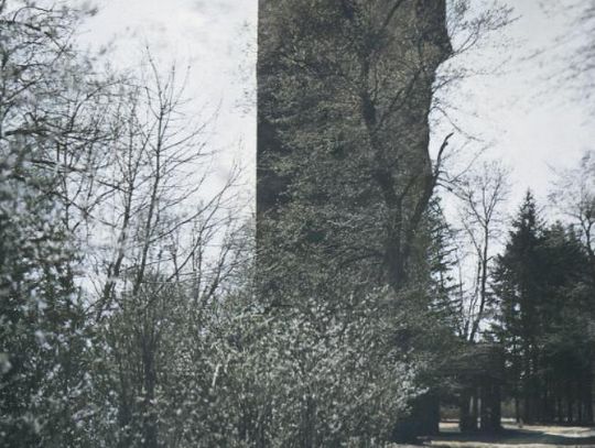 Strzelce Opolskie przed wojną - Wieża Ischl