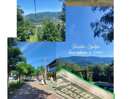 Wyróżnienie – Teresa Niesmak Wyróżnienie – Teresa Niesmak